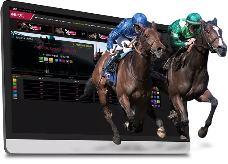 Virtual Horse Racing