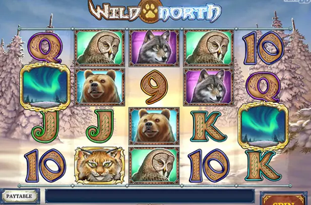 Wild North