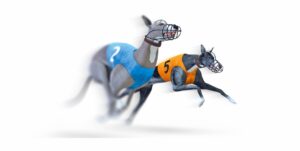 Virtual Greyhounds Review — Rules, Strategy and Where to Play