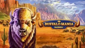 Buffalo Mania slot demo and review